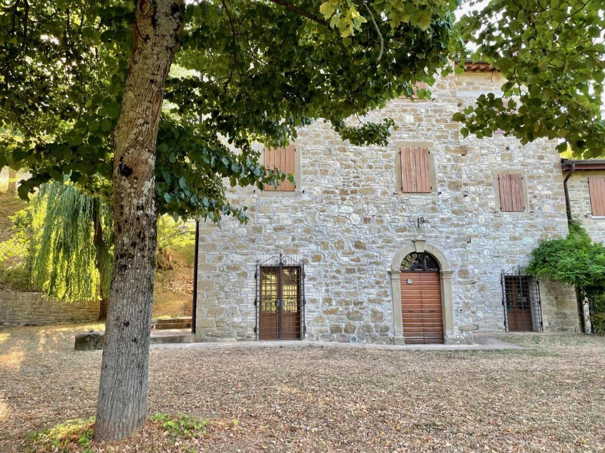 Sambuco Di Sopra Fratticciola Selvatica Exterior foto