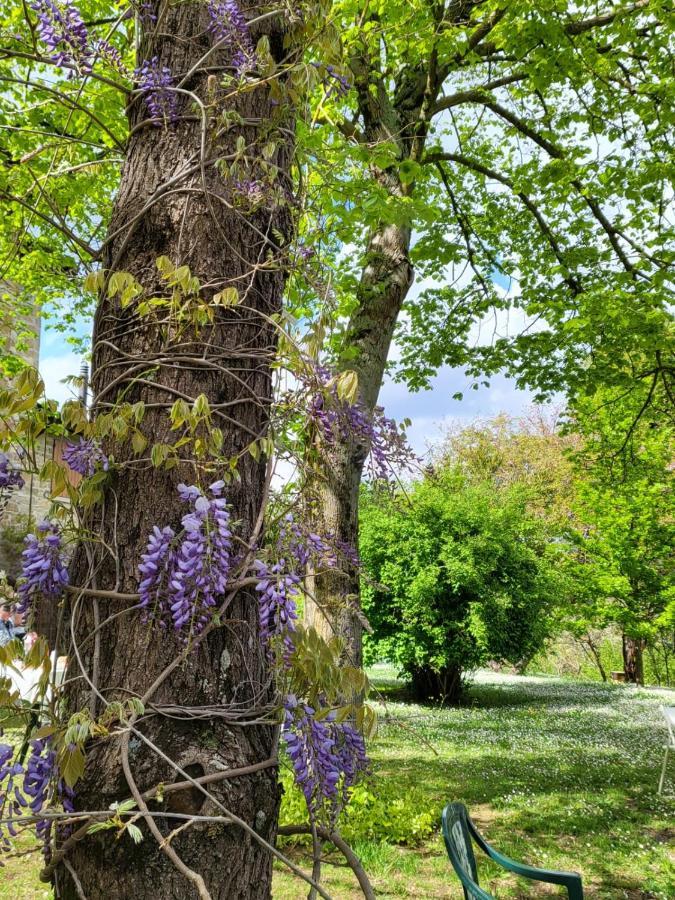 Sambuco Di Sopra Fratticciola Selvatica Exterior foto